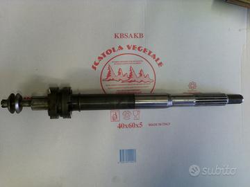 Asse elica e frizione piede mercury optimax 200cv