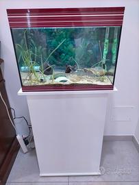 Acquario 68Lt. Askoll