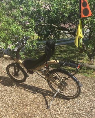 Bicicletta reclinata Azub 5