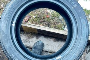 Gomme invernali 205/55/16 91H come nuove