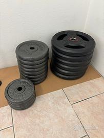 Dischi pesi palestra
