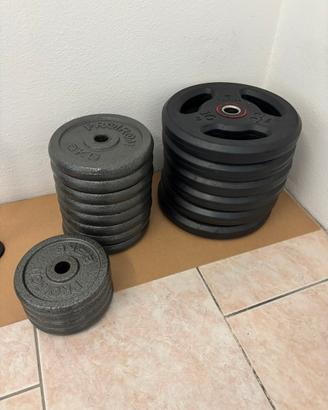 Dischi pesi palestra