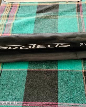 canna da pesca all'inglese DAIWA 