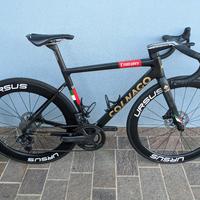 Colnago v3rs Emirates 