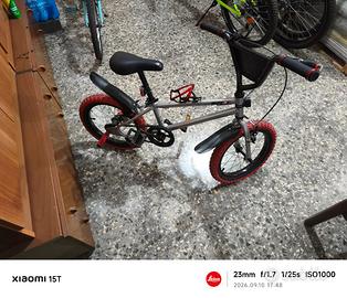 BMX 16 POLLICI