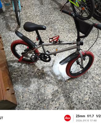BMX 16 POLLICI