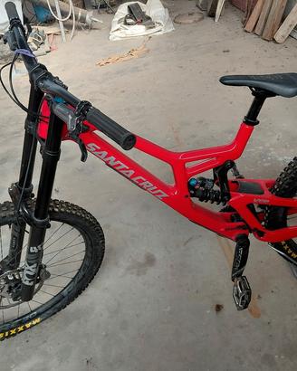 Santa cruz vpp10 