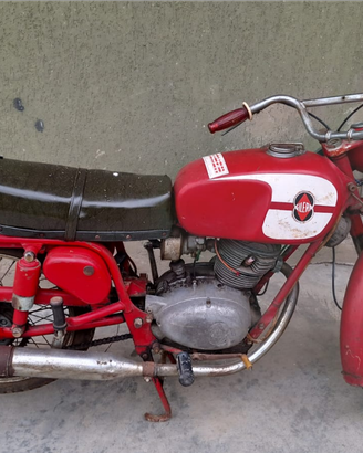Gilera Giubileo 125 cc