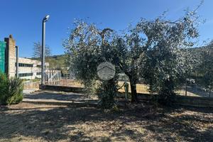 TER. RESIDENZIALE A RIPATRANSONE