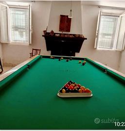 Biliardo professionale