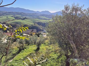 TER. RESIDENZIALE A MOMPEO