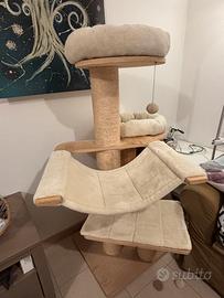 casa per gatti