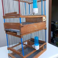 Cinciarelle da richiamo