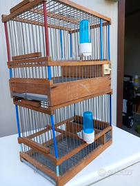 Cinciarelle da richiamo