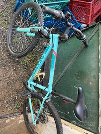 Mtb bimbo