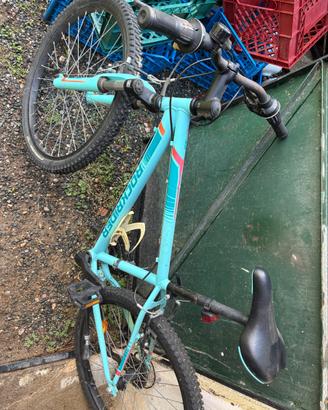 Mtb bimbo