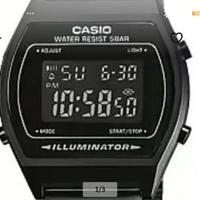 Casio illuminator