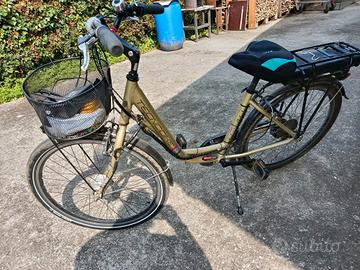 Bicicletta elettrica 