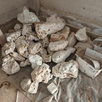 pietre da giardino ornamentali 