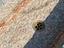Immagine 16