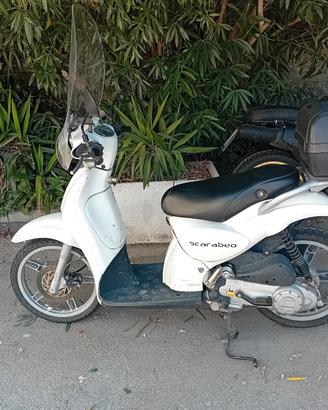 Scarabeo 100cc