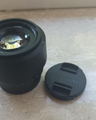 Panasonic Lumix 25mm 1.7 per micro 4/3