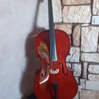 Violoncello