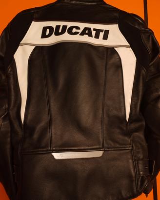 Splendida giacca moto Ducati da uomo taglia 48