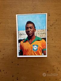 Figurina calciatori panini Pelé 1965/66 nuova