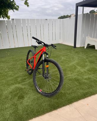 Bici misura  29