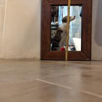 Specchio piccolo antico