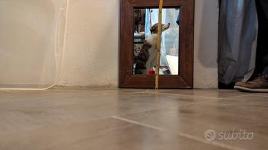 Specchio piccolo antico