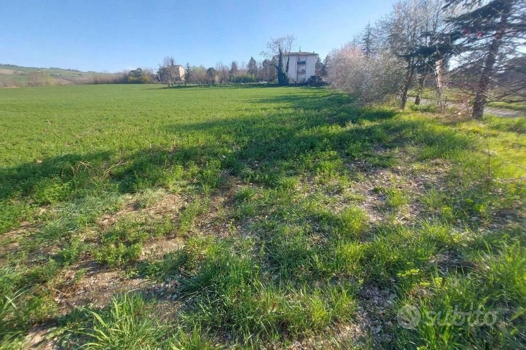 Immobile in asta di 12150 m² a Mercato Saraceno - Vista 4
