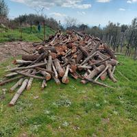 legna di quercia e ulivo 