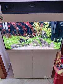 juwel Rio 125 chihiros 