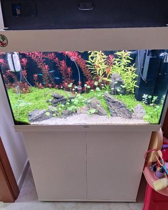 juwel Rio 125 chihiros 