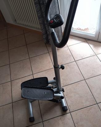 Palestra step