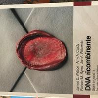 DNA RICOMBINANTE - ED.ZANICHELLI