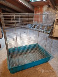 Gabbia per pappagalli 