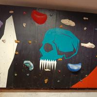 PALESTRA PER ARRAMPICATA