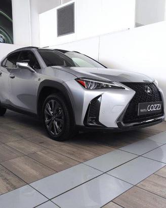 LEXUS UX - UX Hybrid Design