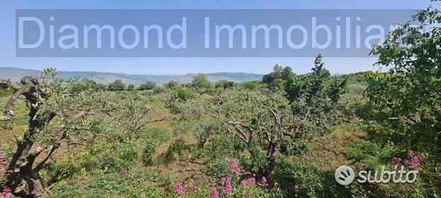 Terreno agricolo 3.200mq zona doc a castiglione - Vista 5