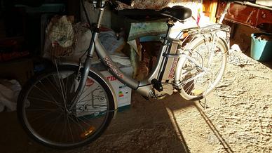 Bici schiano