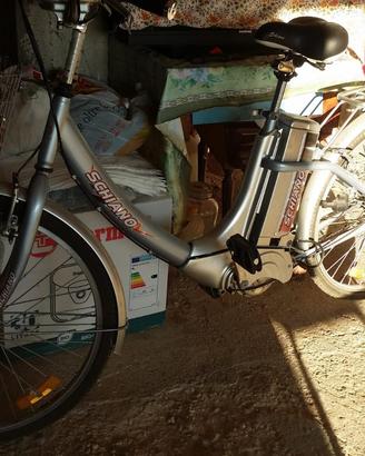 Bici schiano