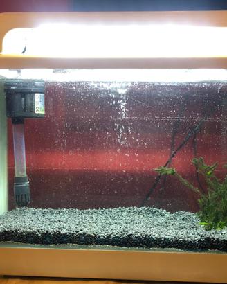 Acquario 15 Litri Wave Riviera 30 con filtro +luce