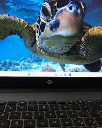 Pc portatile HP