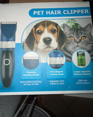 Toelettatura cani