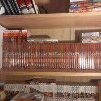 fairy tail serie completa