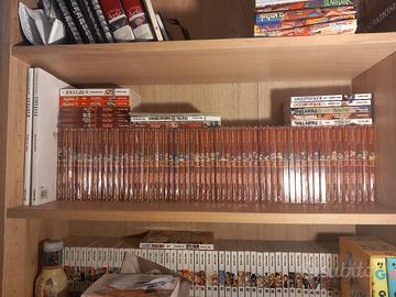 fairy tail serie completa