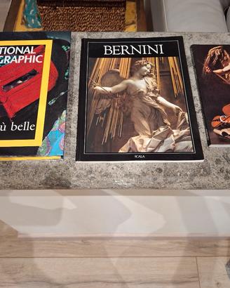libri vari Bernini Caravaggio National Geographic